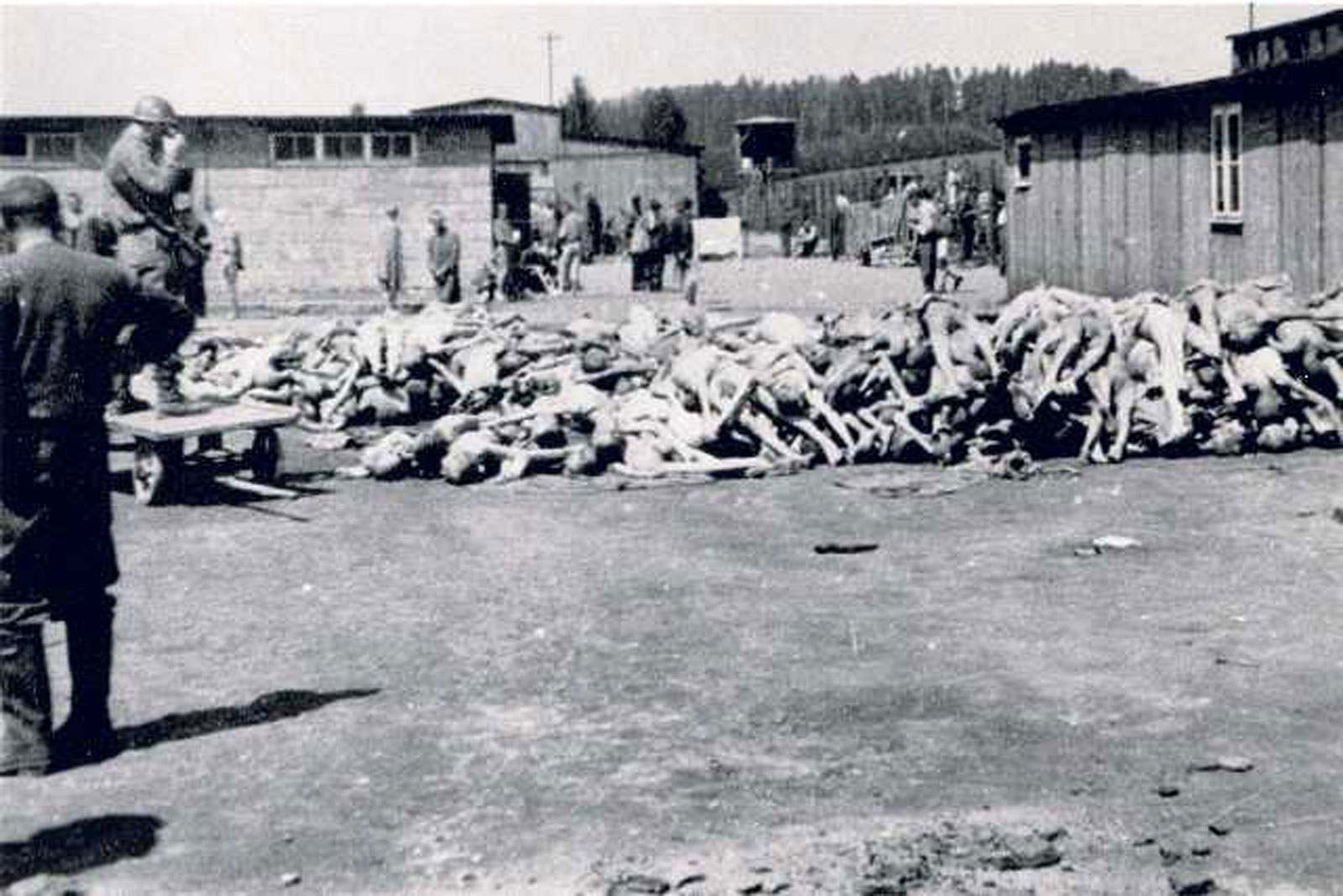 mauthausen-la-part-visible-des-camps-cadavres