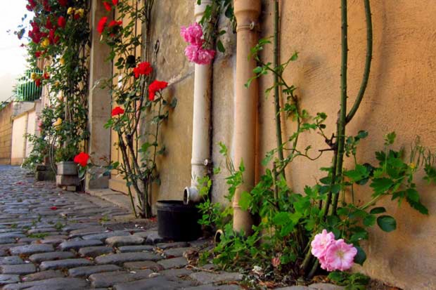 rosiers-place-notre-dame-cluny