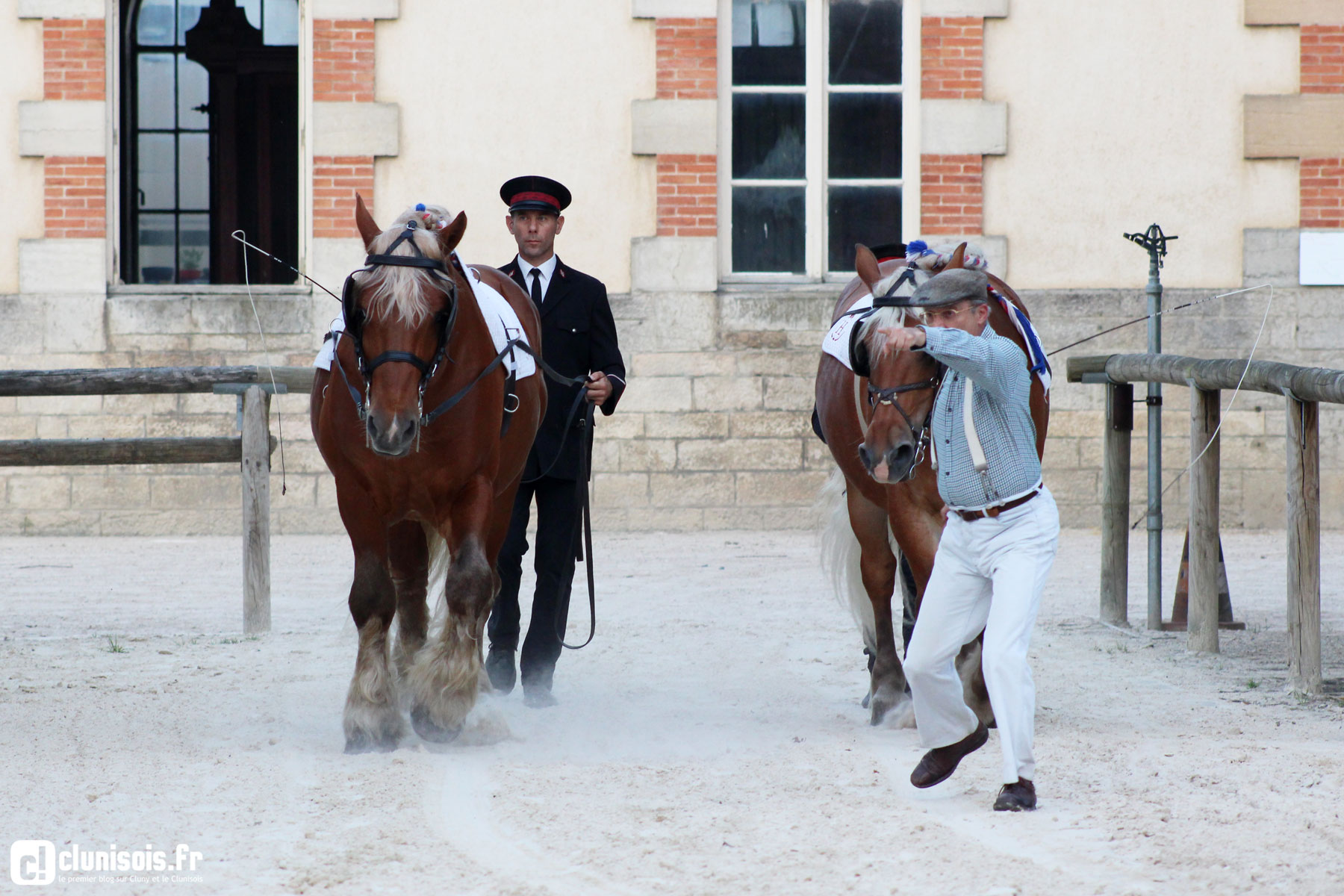 cabaret-equestre-haras-cluny-ete-2016-05