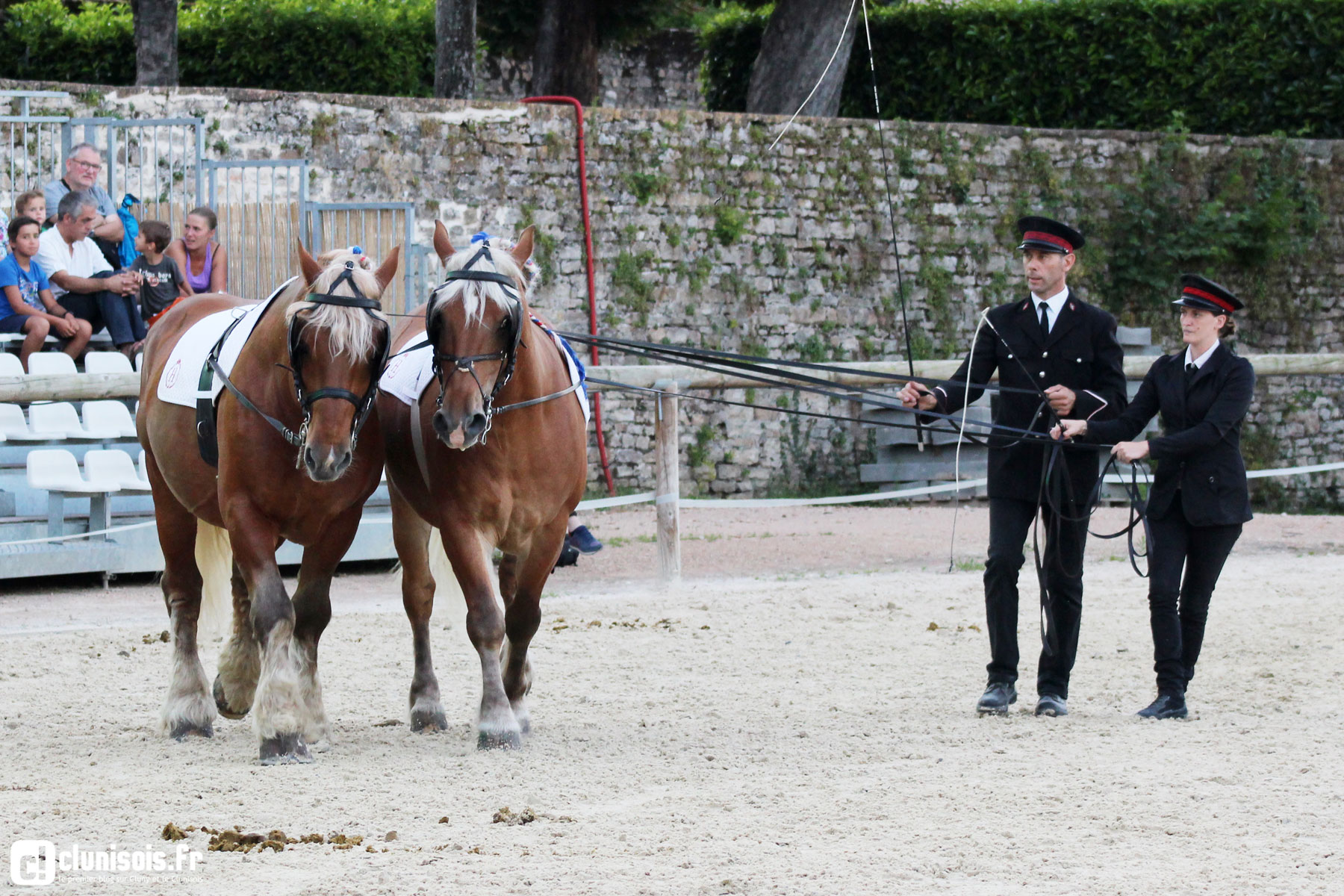 cabaret-equestre-haras-cluny-ete-2016-07