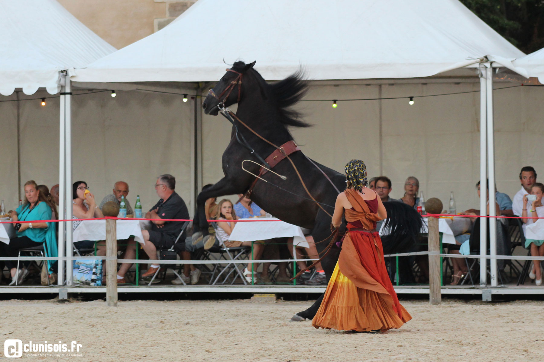 cabaret-equestre-haras-cluny-ete-2016-08