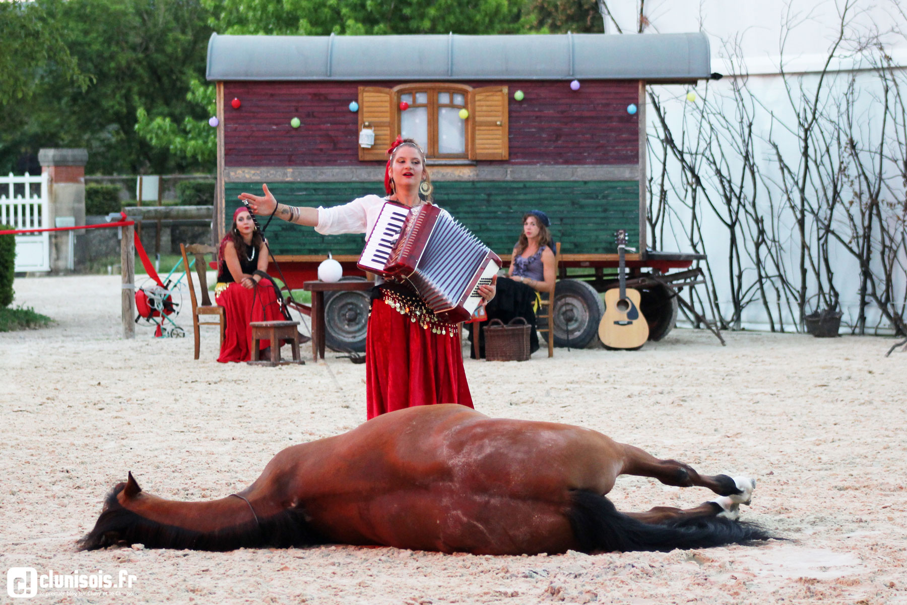 cabaret-equestre-haras-cluny-ete-2016-10