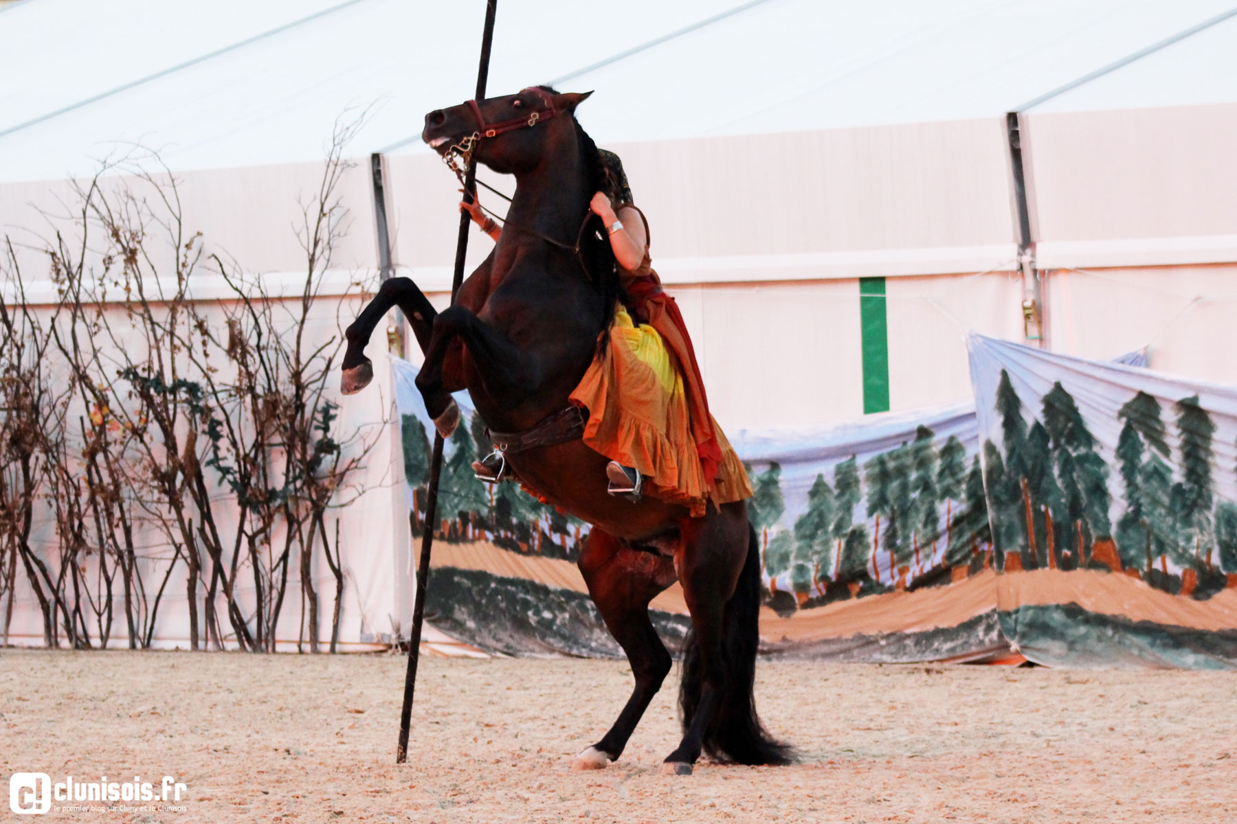 cabaret-equestre-haras-cluny-ete-2016-11