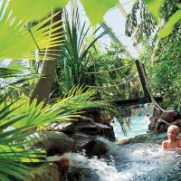 Center Parcs au Rousset : les détails du projet Center Parcs au Rousset : les détails du projet